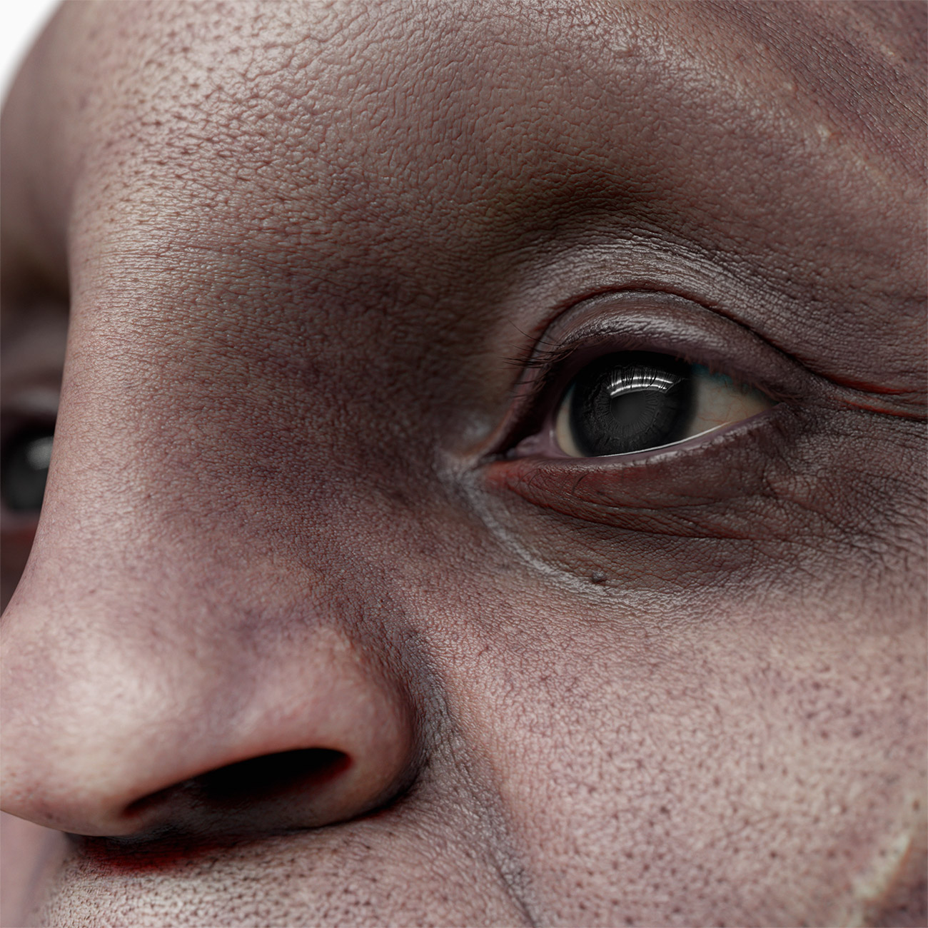 Download our high res 3d face models